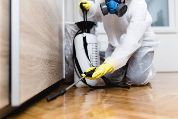 Best Affordable Pest Control Services  in Cornish, ME