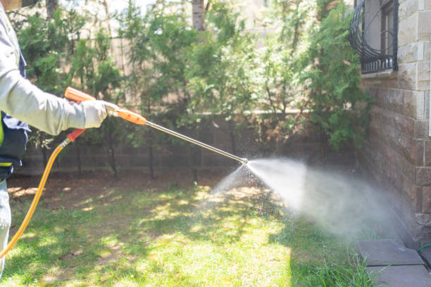 Best Wasp Removal Services  in Cornish, ME